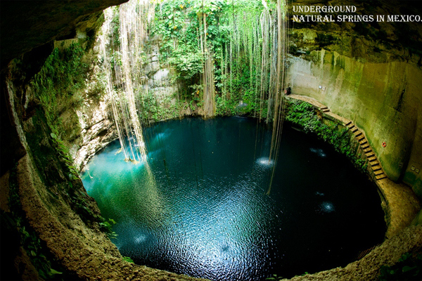 12 Craziest Things in Nature